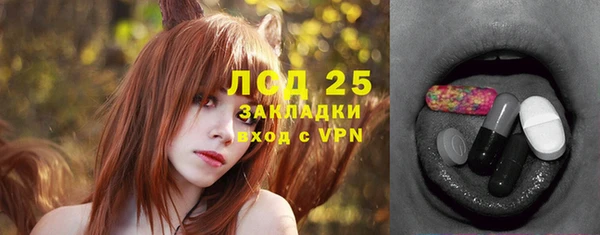 сатива Вяземский