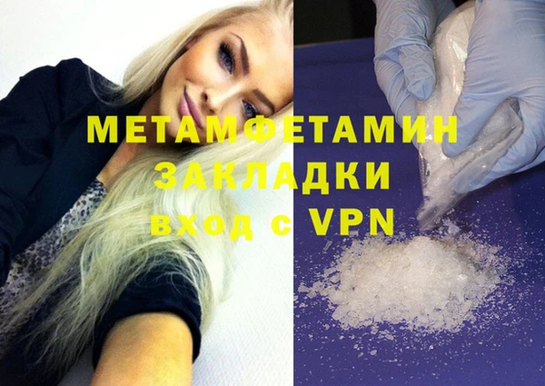 сатива Вяземский