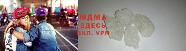 сатива Вяземский