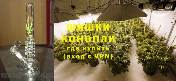 сатива Вяземский