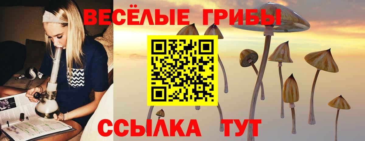 Псилоцибиновые грибы прущие грибы Мариинск