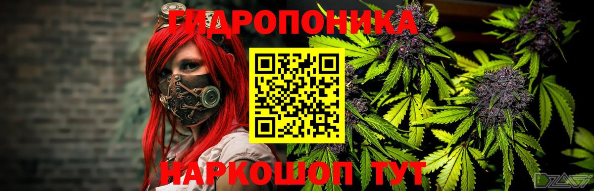 МАРИХУАНА конопля Мариинск